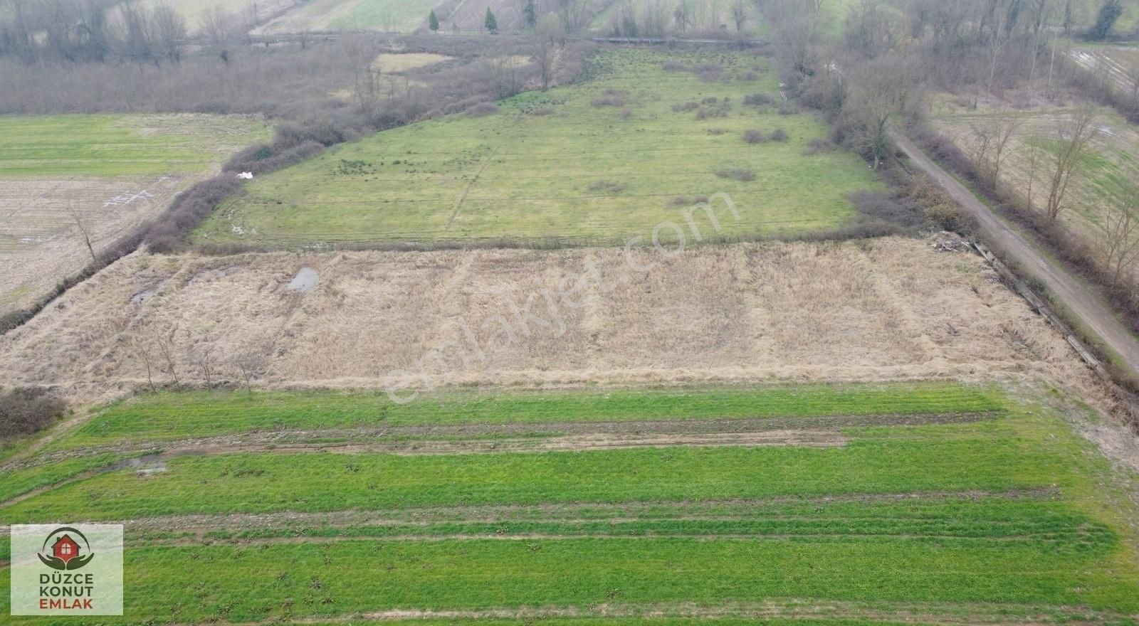 Çilimli Kuşoğlu Köyü Satılık Tarla Kısa Süreliğine Bu Fiyat!! Çilimli Kuşoğlu Satılık 2.965 M² Arsa