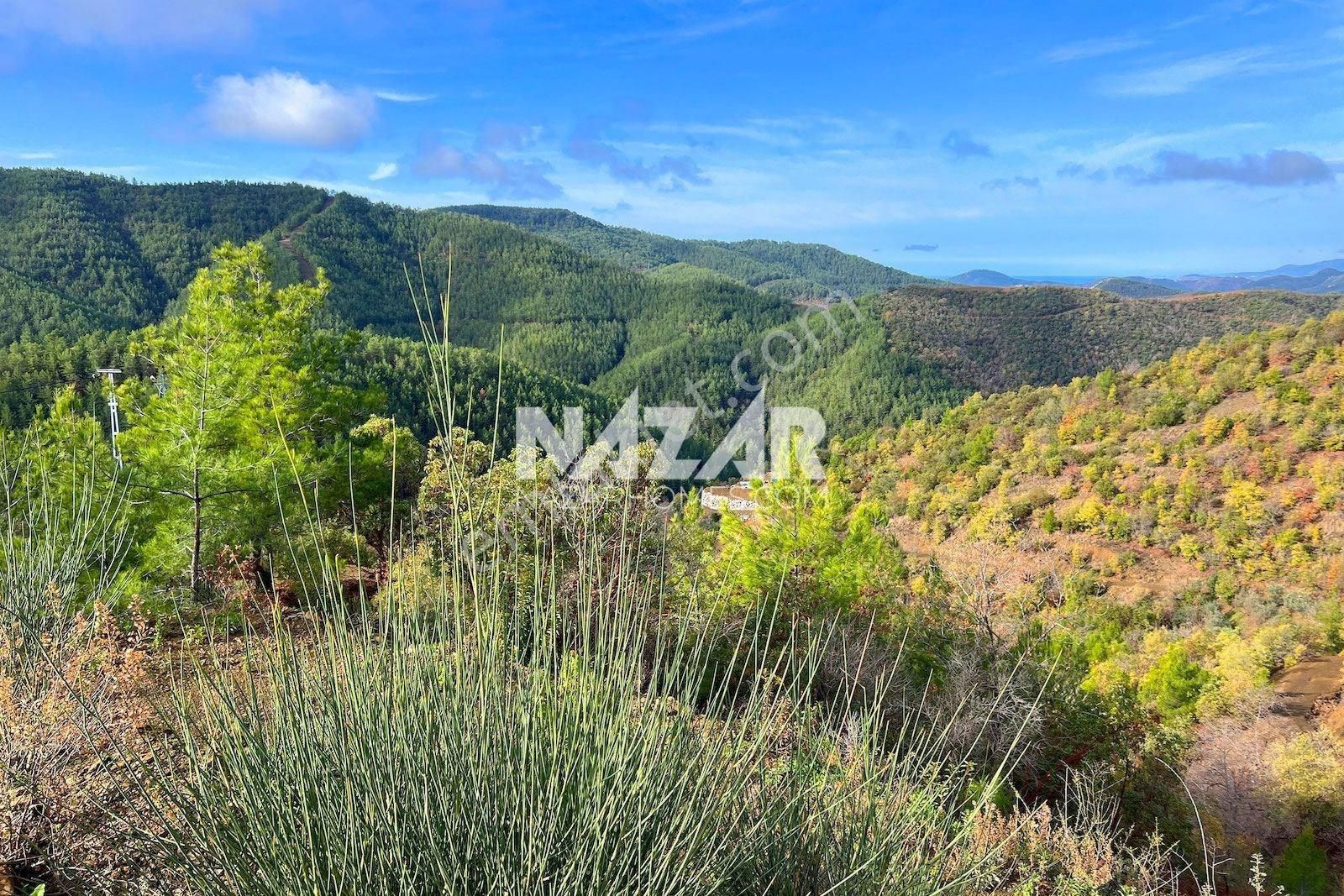 Alanya Çamlıca Köyü’nde Satılık 1.269 M² Tarla - Görsel 5