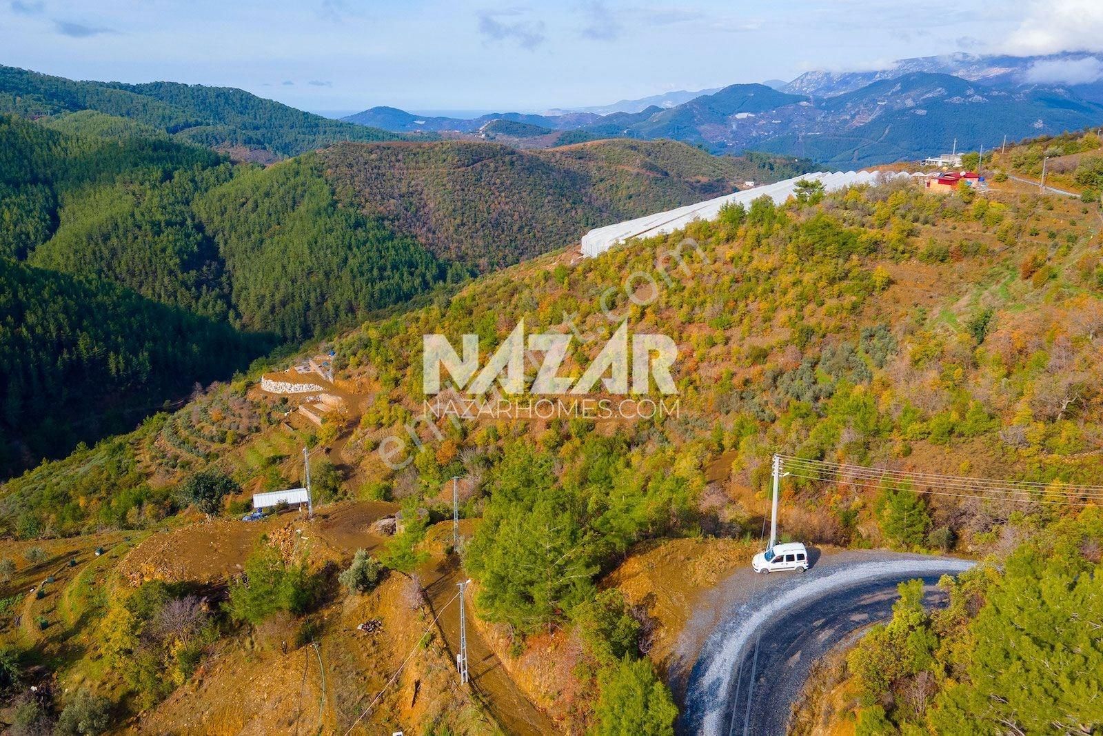 Alanya Çamlıca Köyü’nde Satılık 1.269 M² Tarla - Görsel 13