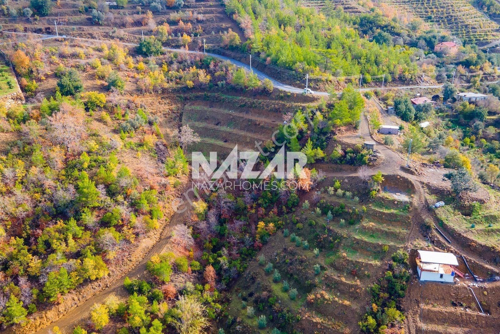 Alanya Çamlıca Köyü’nde Satılık 1.269 M² Tarla - Görsel 8