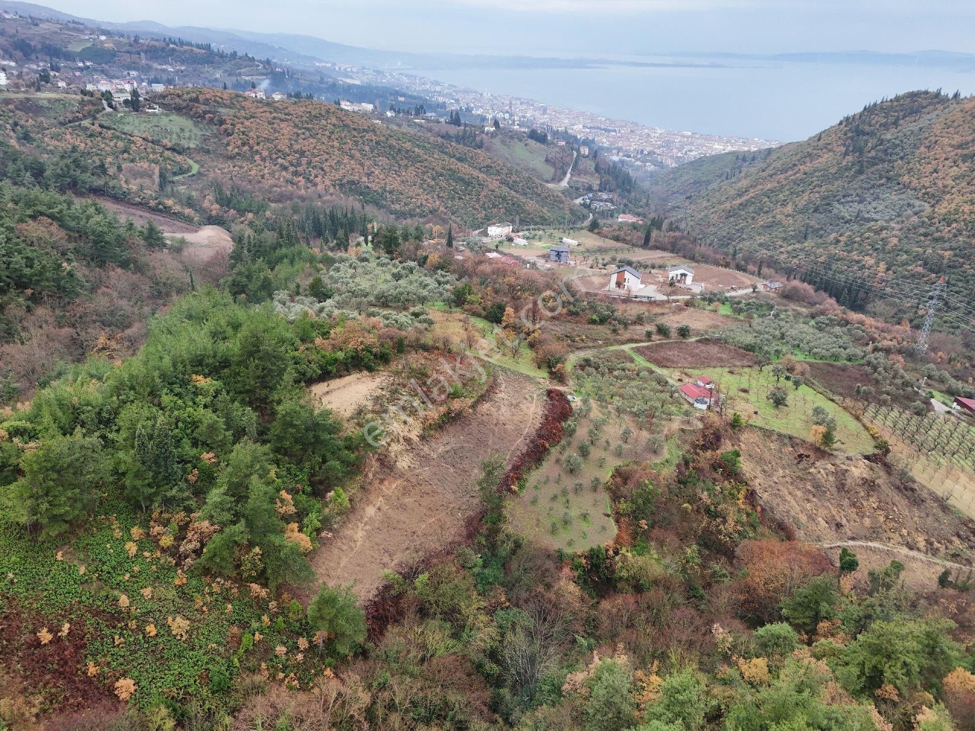 Kocaeli Karamürsel Satılık Arazi Acil Satılık