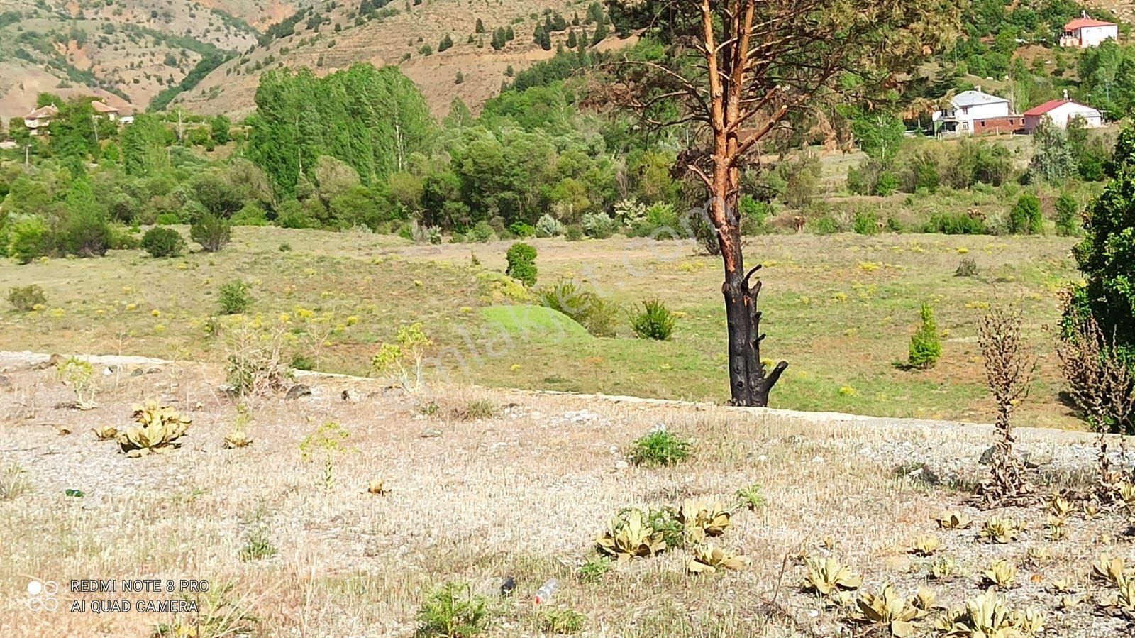 Maden Tekevler Köyü (Özyurt) Satılık Tarla Uygun Arsa