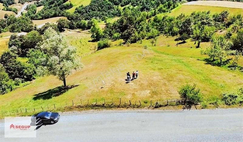 Alaçam Demircideresi Satılık Tarla Alaçam Demircideresi 6444 M2 Resmi Asfalt Yola Cephe Fırsat