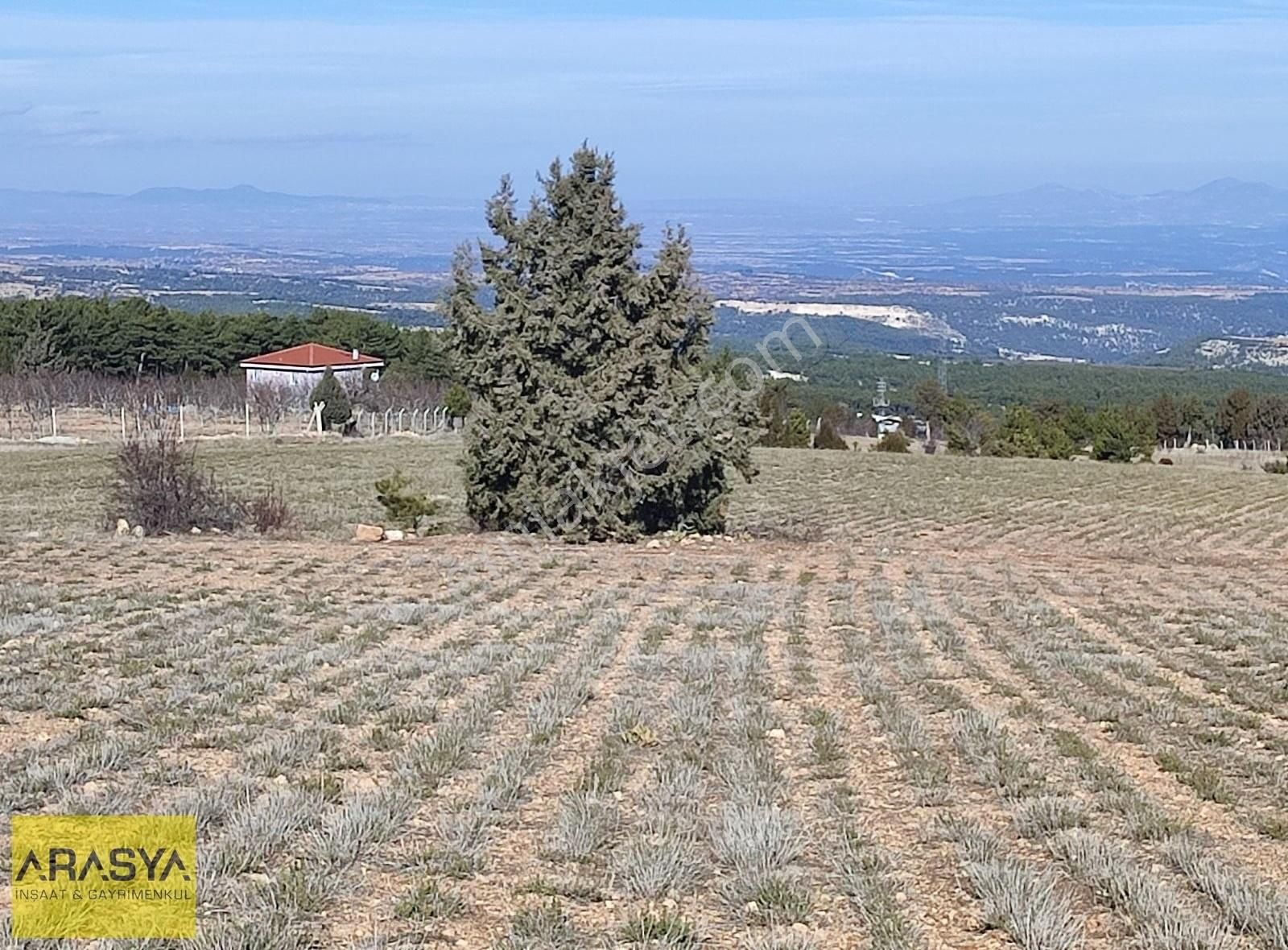 Pamukkale Güzelpınar Satılık Tarla Mükemmel Manzara, Benzersiz Lokasyon