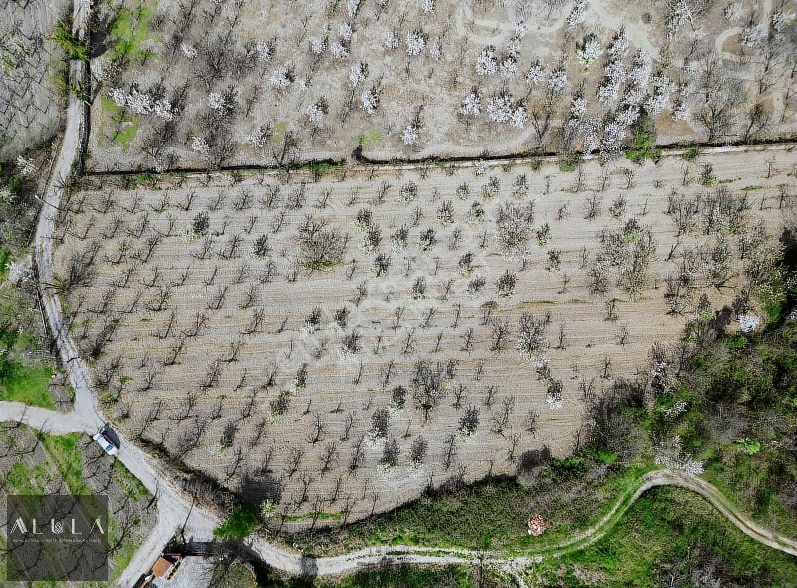 Alula Gayrimenkul'den Sapanca Yanıkta 7.659 M2 Kiralık Tarla.