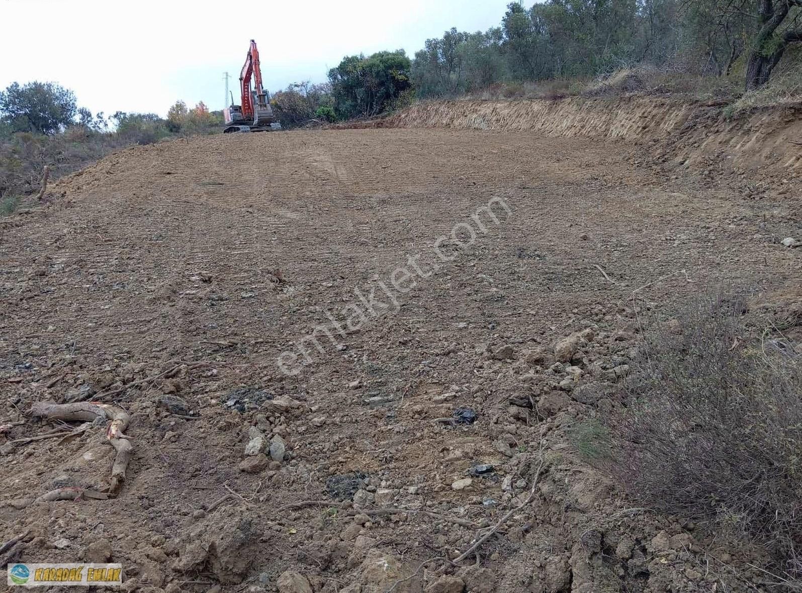 Bandırma Yenice Satılık Tarla Deniz Manzaralı Toprak Düzlemesi Yapılmış Arazi