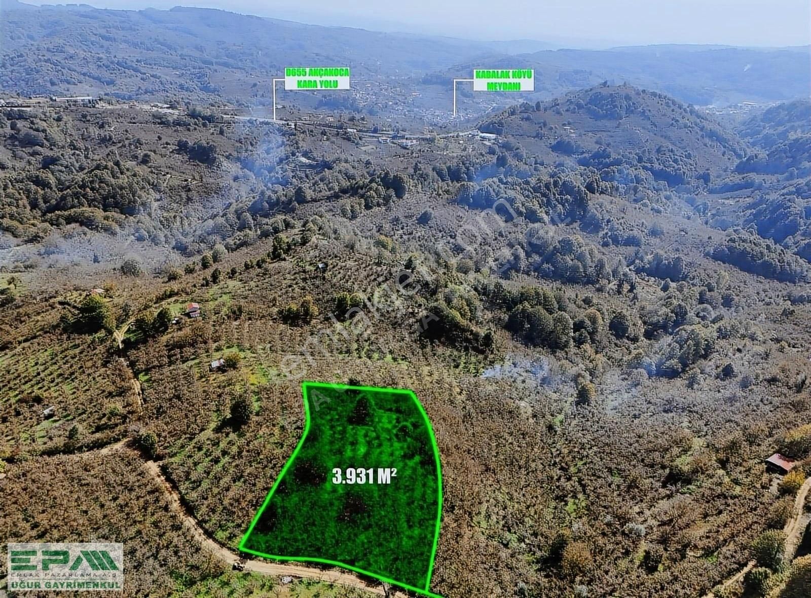 Düzce Merkez Boğaziçi Bld. (Şekerpınar) Satılık Tarla Epa Uğur'dan Boğaziçi Şekerpınar'da Satılık Fırsat Fındıklık