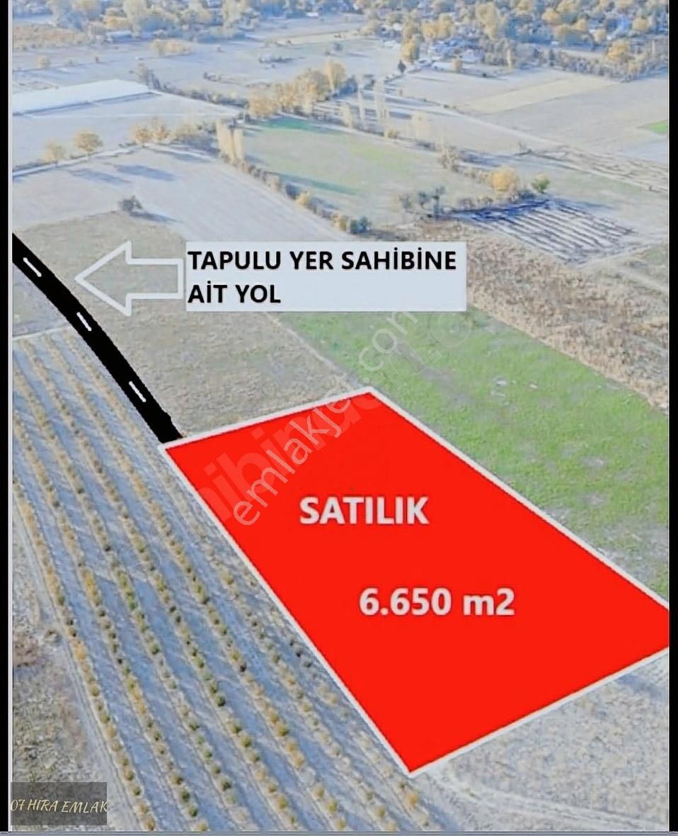 Elmalı Akçaeniş Satılık Bağ & Bahçe Elmalı Akçaeniş'te Müstakil Ve 2 Tapu 8 Dönüm Elma Bahçesi