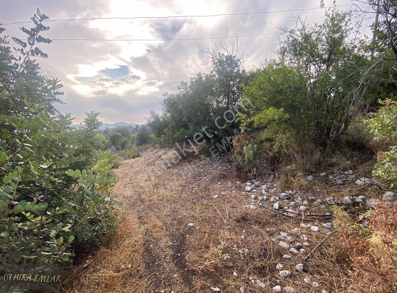 Kumluca Erentepe Satılık Bağ & Bahçe 07 Hira Emlaktan Erentepede Müstakil Tapulu Fırsat Tarla