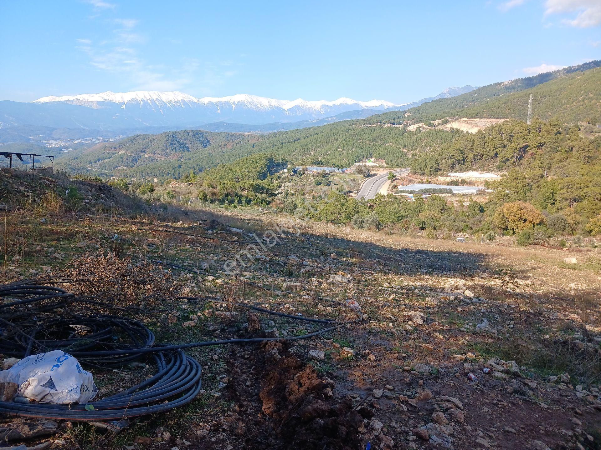 Antalya Kumluca Satılık Arazi Müstakil Tapu Kadastro Yolu Cepheli Elektrik Su Problemi Yok