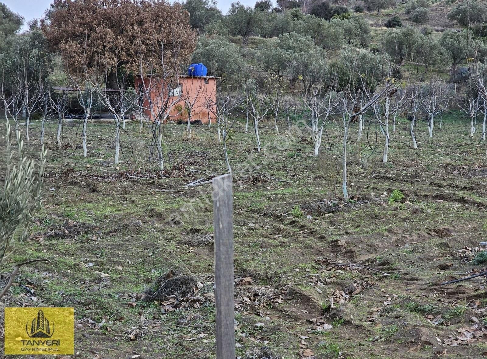 Çanakkale Merkez Akçapınar Köyü Satılık Tarla Merkez Akçapınar Köyünde İmara 100 Mt 3 Taraf Yola Cephe Satılık