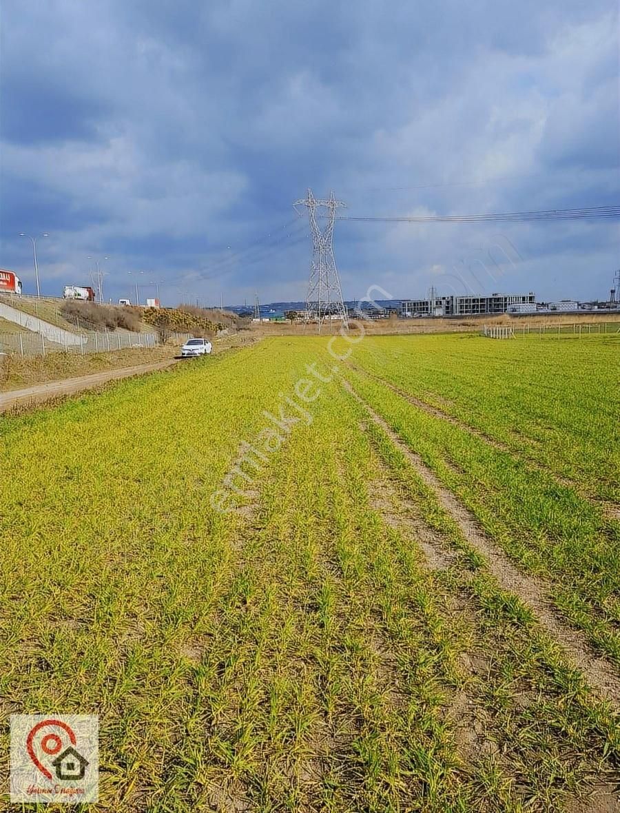 Silivri Kavaklıda Satılık Kupon Arsa - Görsel 4