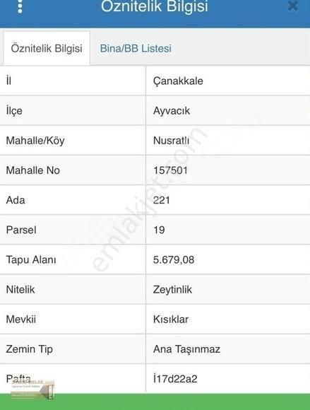 Ayvacık Nusratlı Köyü (Küpyanı) Satılık Zeytinlik Küçükkuyu Kazdağları Nusratlı Köyü Tam Deniz Manzaralı Eşsiz Şık