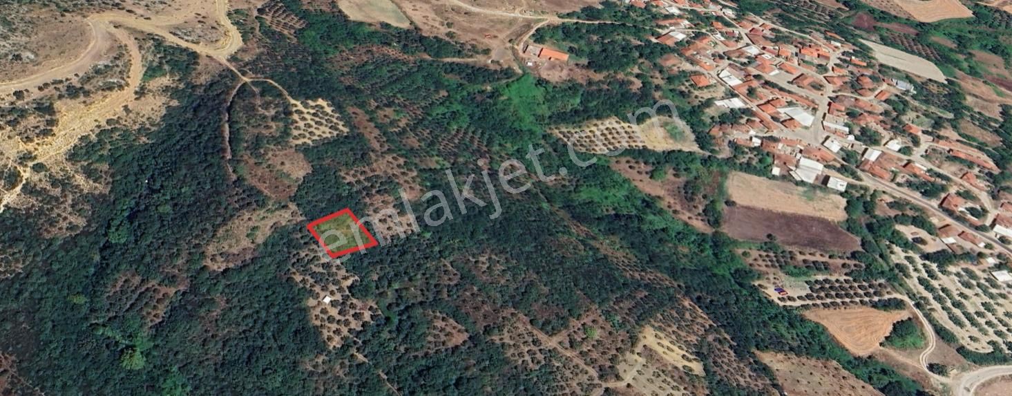 Bursa Karacabeyde Köye Yakın Uygun Fiyatlı Arsa - Görsel 7