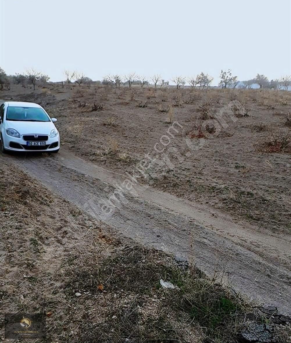 Nevşehir Merkez Çat Bld. (İstiklal) Satılık Tarla Acil Çat İstiklal De Kadastro Yolu Olan 2.400 M2 Bağ