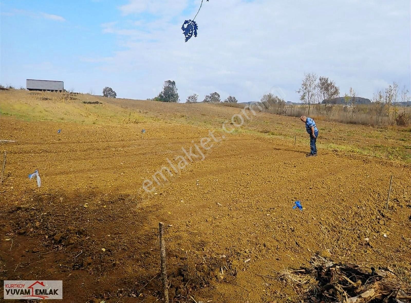 Kandıra Karadivan Satılık Tarla Kandıra Karadivan Köyün Dibinde Satılık Tarla