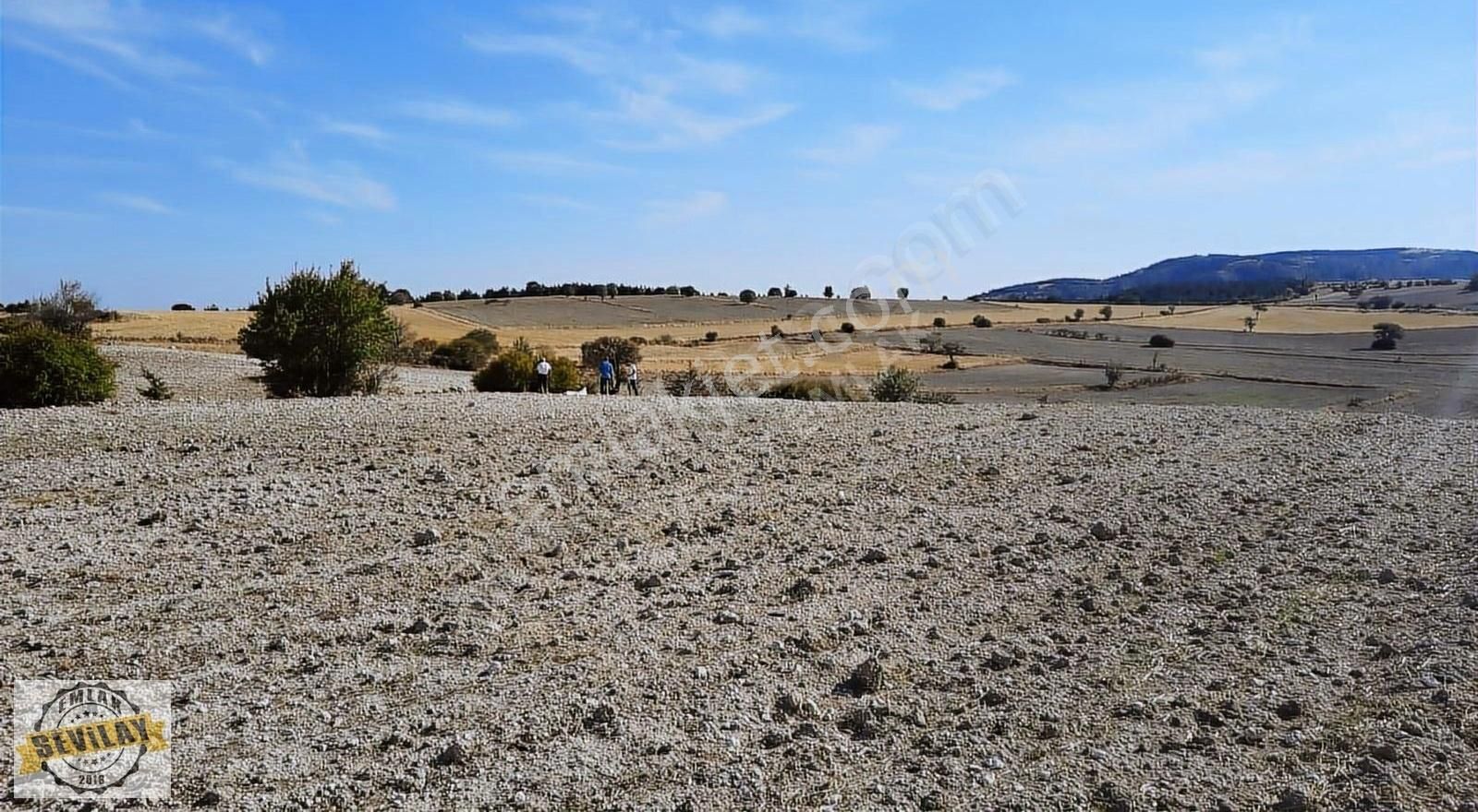 Ayaş Pınaryaka Satılık Tarla Ayaş Pınaryaka Mahallesi , Akyol Mevkiidinde Satılık Arsa