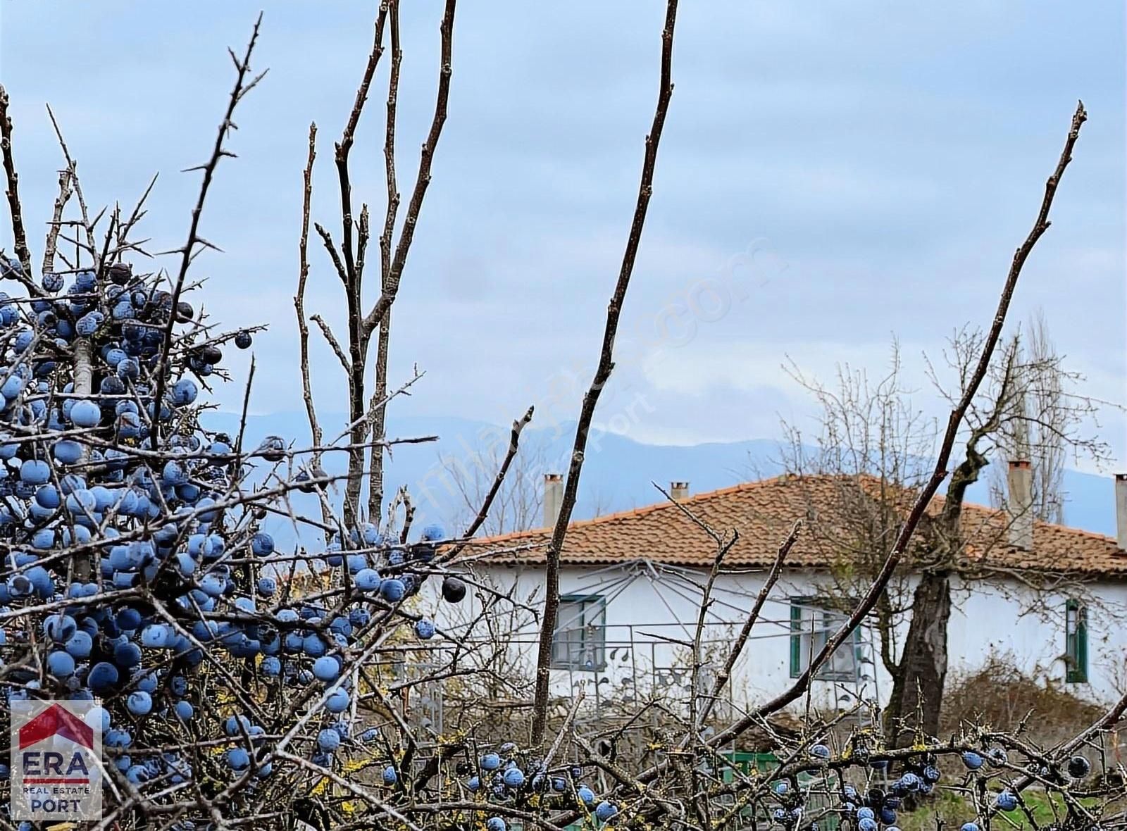 Yenice Akköy Köyü Satılık Müstakil Ev Era Port Güvencesiyle Çanakkale Yenice Akköy De Müstakil Ev