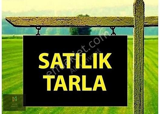 Keçiören Hisar Satılık Tarla Alfa İnvest'ten Satılık Tarla