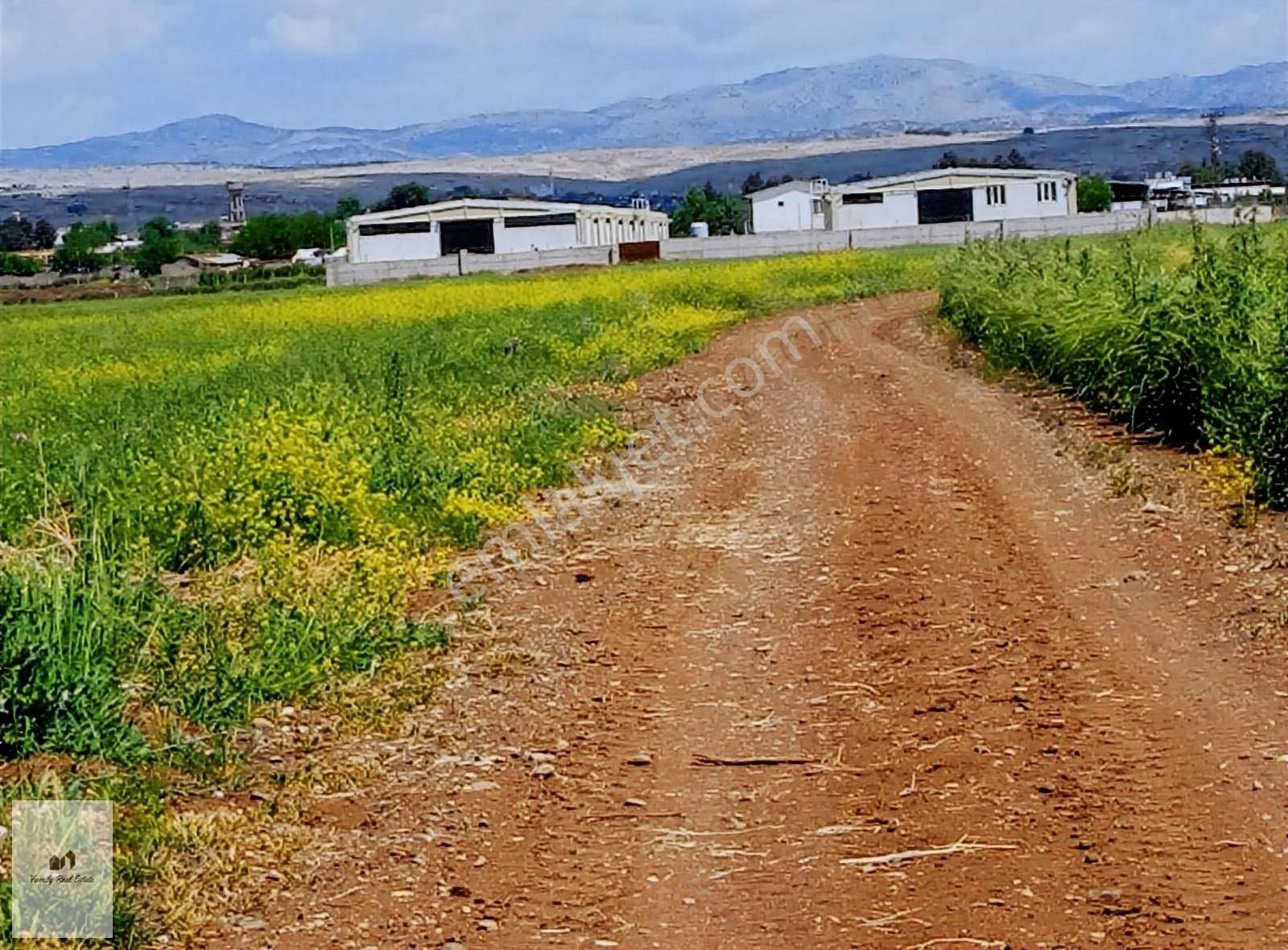 Ergani Aşağıkuyulu Satılık Tarla Gold Gayrimenkul Danışmanlık.da Erganide Konumu Güzel Bi Arazi