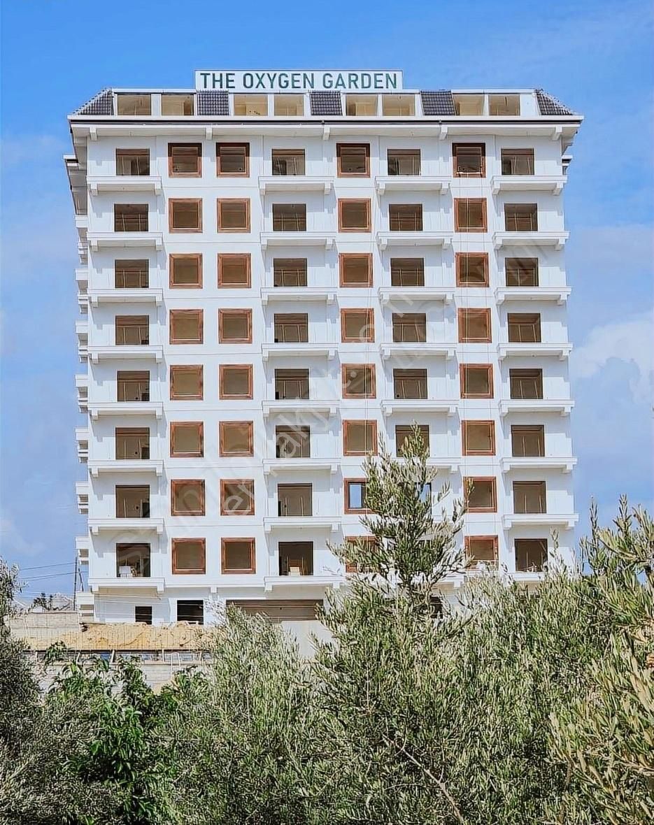 Alanya Payallar Satılık Daire Alanya Payallarda Yatırımlık 1+1 Daire