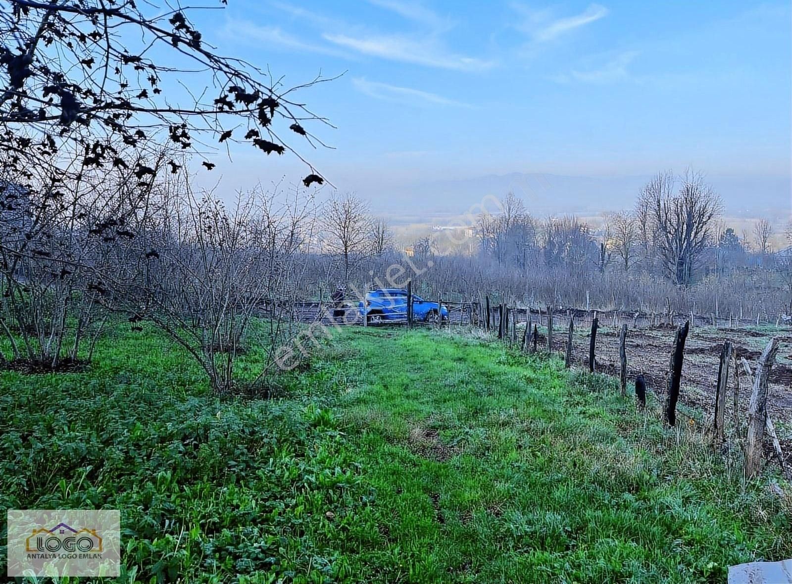 Düzce Merkez Gölormanı Köyü (Merkez) Satılık Tarla Düzce Merkez Gölormanı'nda Köy İçi Emsalsiz Parsel