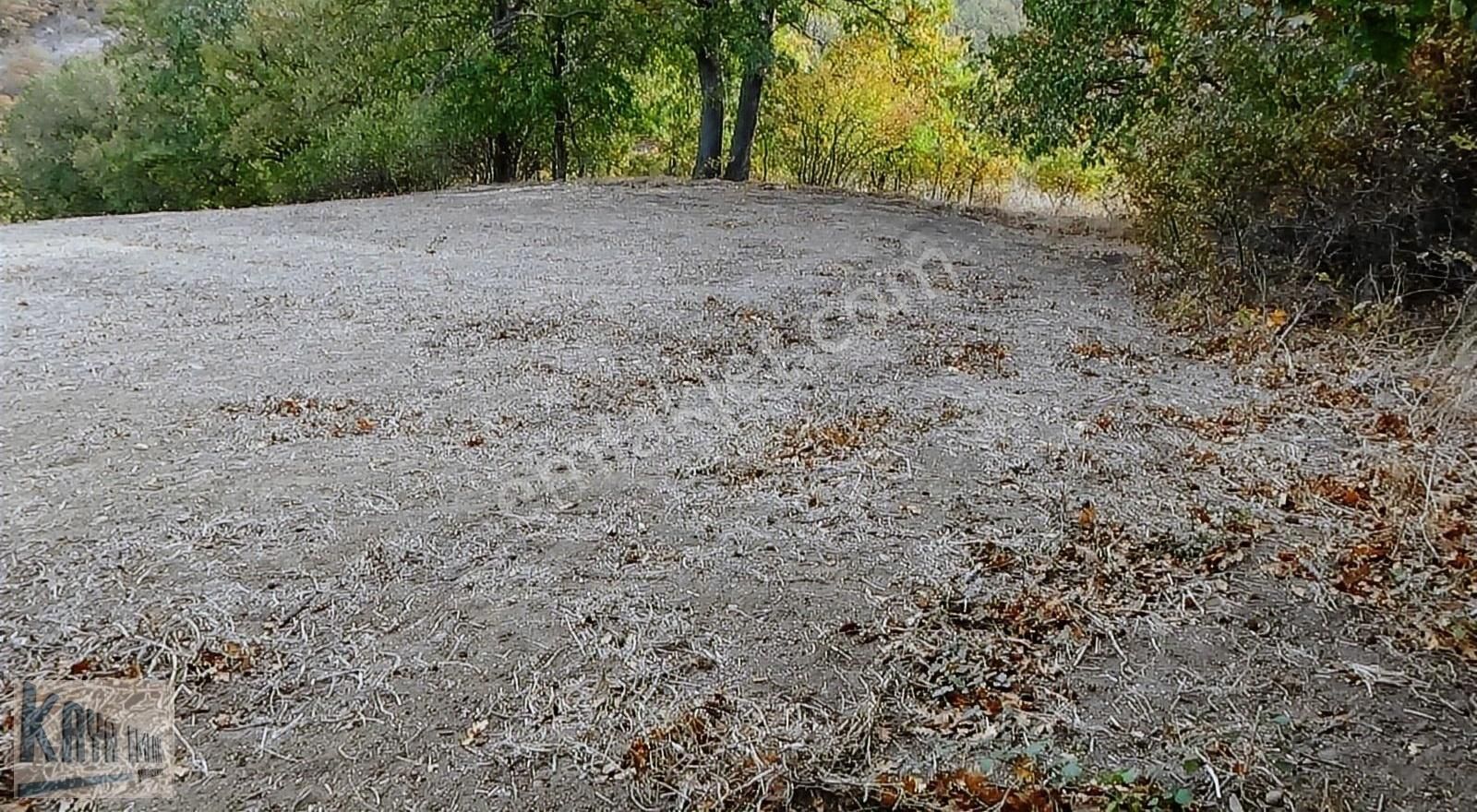 Gönen Çınarlı Satılık Tarla Kaya Emlaktan 8600 M2 Ormana Cepe Tarla