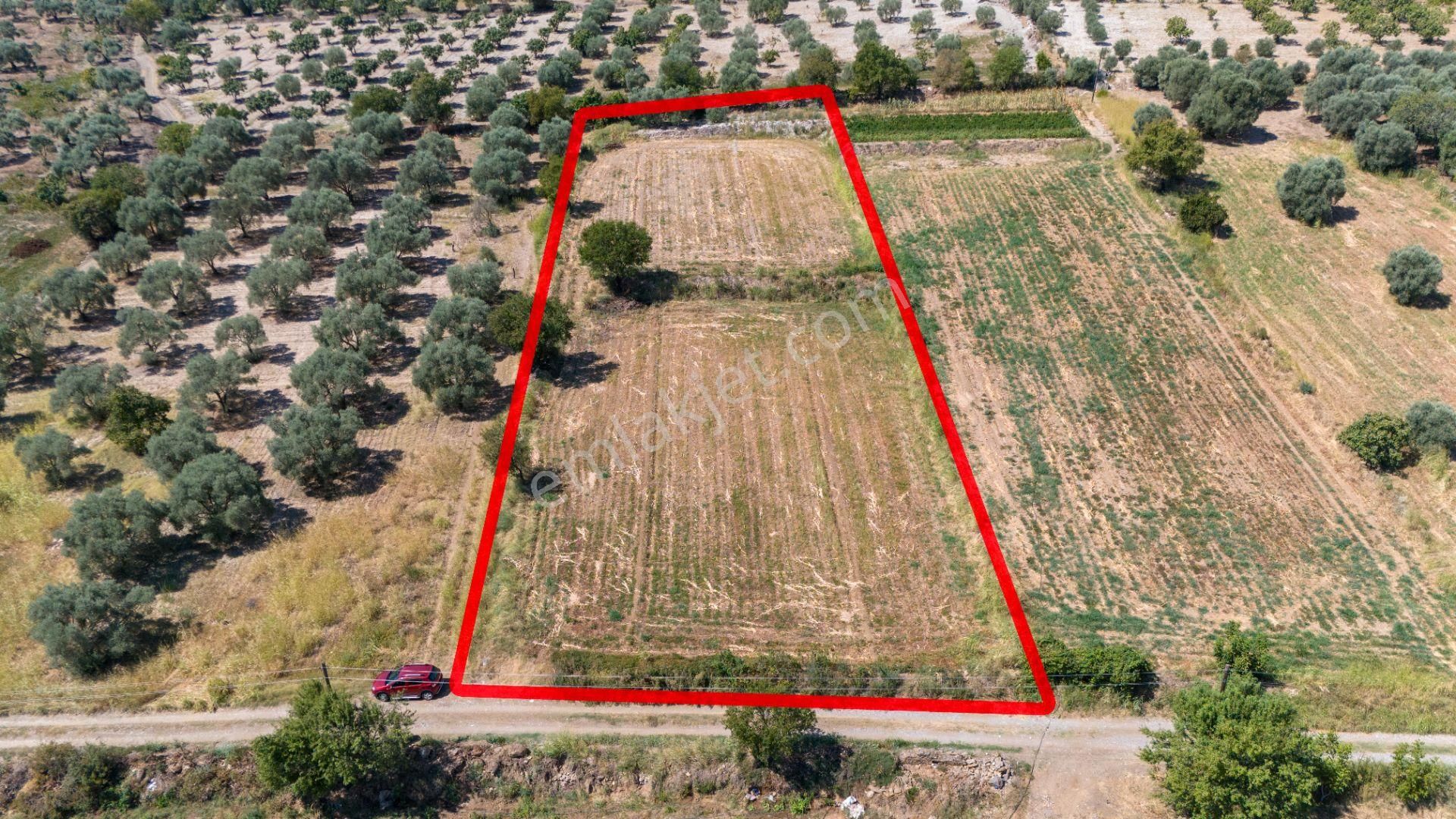 Bozdoğan Kılavuzlar Satılık Tarla Bozdoğan Kılavuzlar Mahallesinde Satılık 3.822 M² Tarla