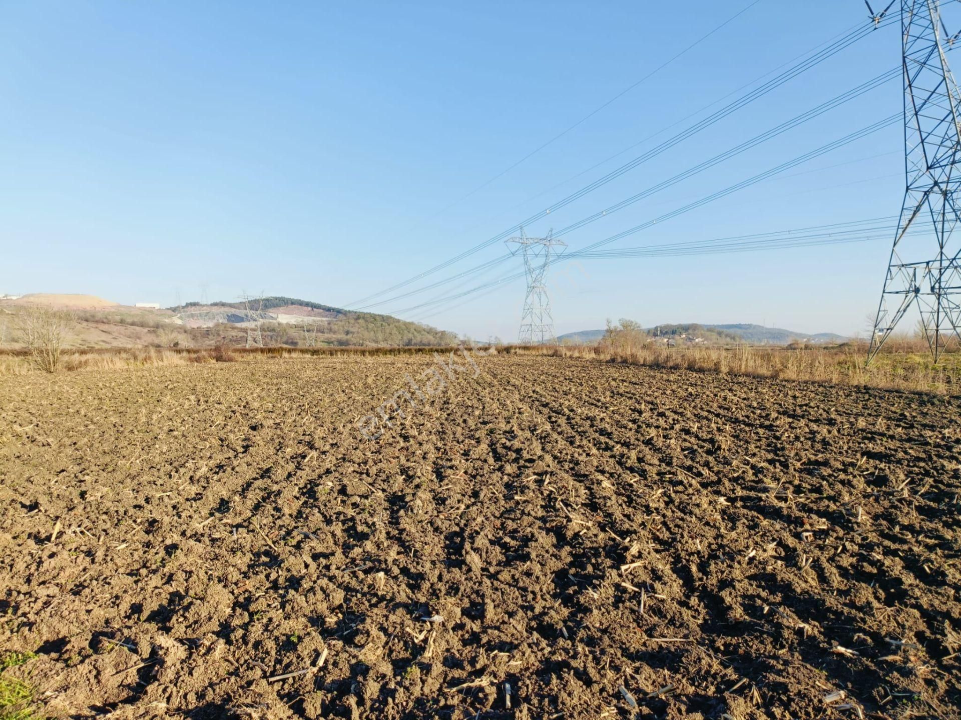 Adapazarı Tekeler Satılık Tarla Sakarya Tekeler'de Kuzey Marmara Otaban Kenarı 7,439 M2 Tarla