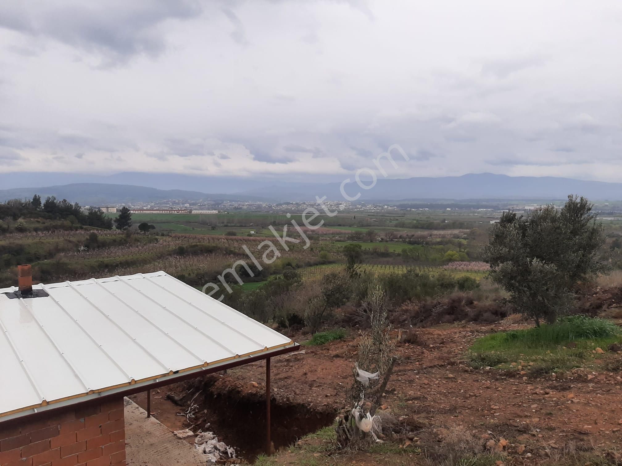 Bayramiç Doğancı Köyü Satılık Zeytinlik Bayramiç Doğancı Köyünde Kazdağları Manzaralı Satılık Zeytinlik