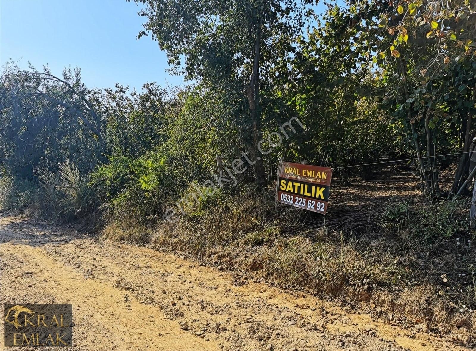 Akçakoca Akkaya Köyü Satılık Konut İmarlı Akkaya Mevkisinde 1000 M2 İmarlı Denize Yakın Satılık Arsa