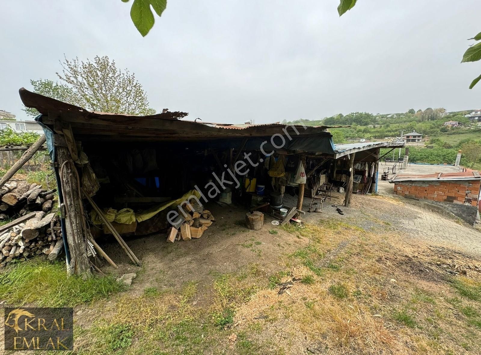 Akçakoca Çayağzı Köyü (Kumpınar) Satılık Müstakil Ev Çayağzında Denize Yakın 1068 M2 Arsa İçinde Satılık Müstakil Ev