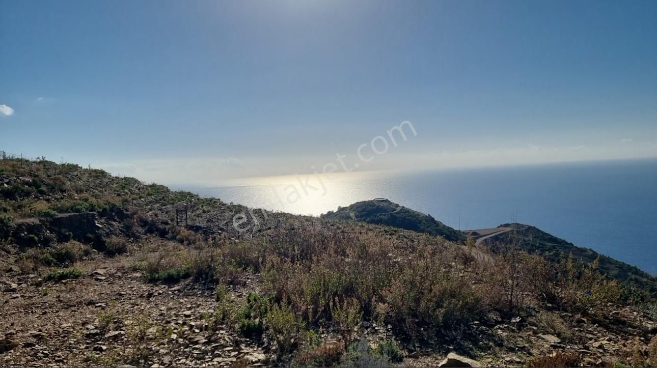 Gazipaşa Muzkent Satılık Konut İmarlı Alanya Gazipaşa Muzkent 6055 M2 Konut İmarlı Arsa