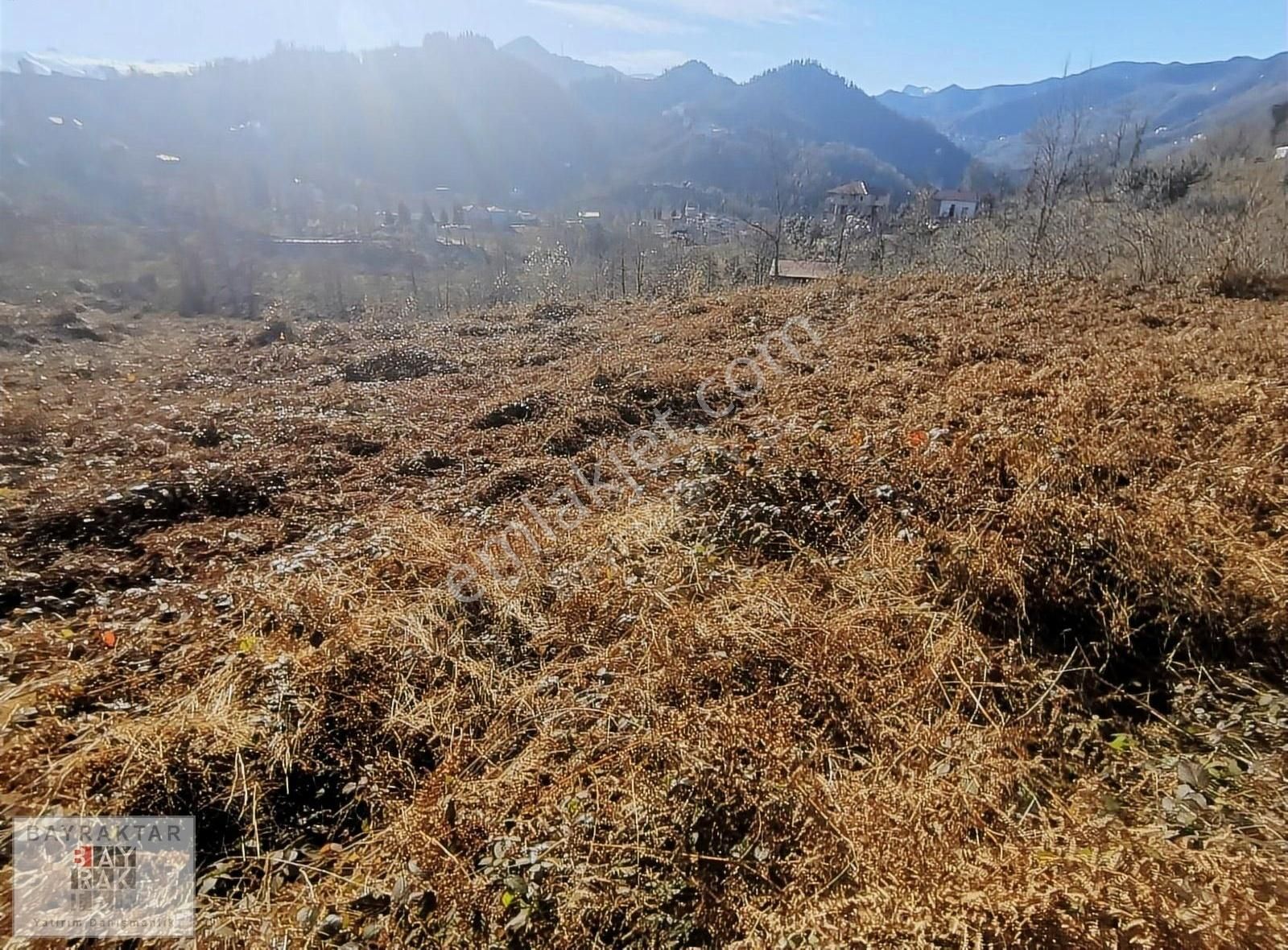 Arsin Yeniköy Satılık Tarla Trabzon Arsinde Satılık Arazi