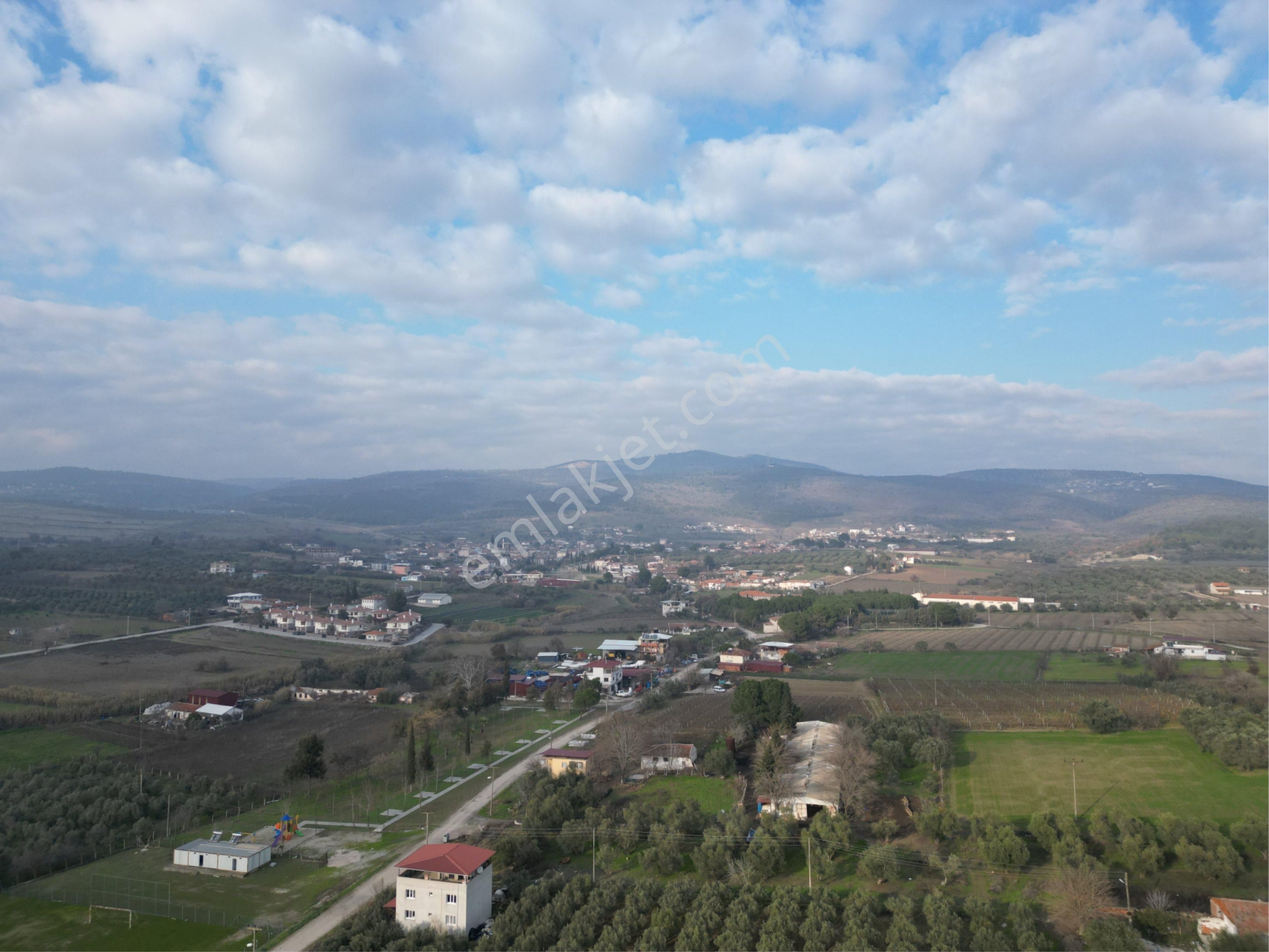 Yunusemre Üçpınar Satılık Tarla Beyaz Gayrimenkulden Satılık Üçpınar Mh De6 Dönüm Tarla