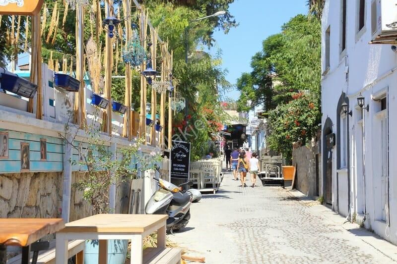 Çeşme Alaçatı Satılık Tarla Alaçatı'da Satılık Zeytin Ağaçlı Tarla