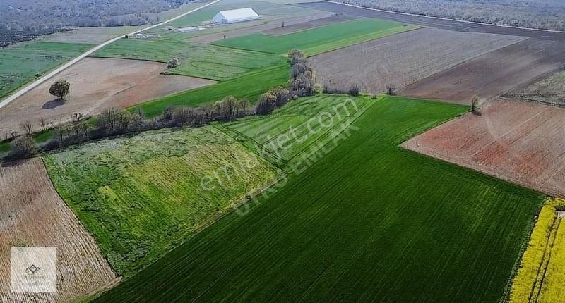 Babaeski Kumrular Köyü Satılık Tarla Babaeski Kumrularda 8.579m2 Köydibi Satılık Tarla