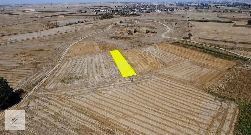 Babaeski Nadırlı Köyü Satılık Tarla Babaeski Nadırlı Da 780 M2 Köydibi Tarla