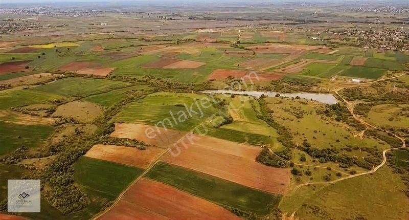 Babaeski Katranca Köyü Satılık Tarla Babaeski Katranca Da 7162 M2 Köydibi Çiftlikevi Arazisi