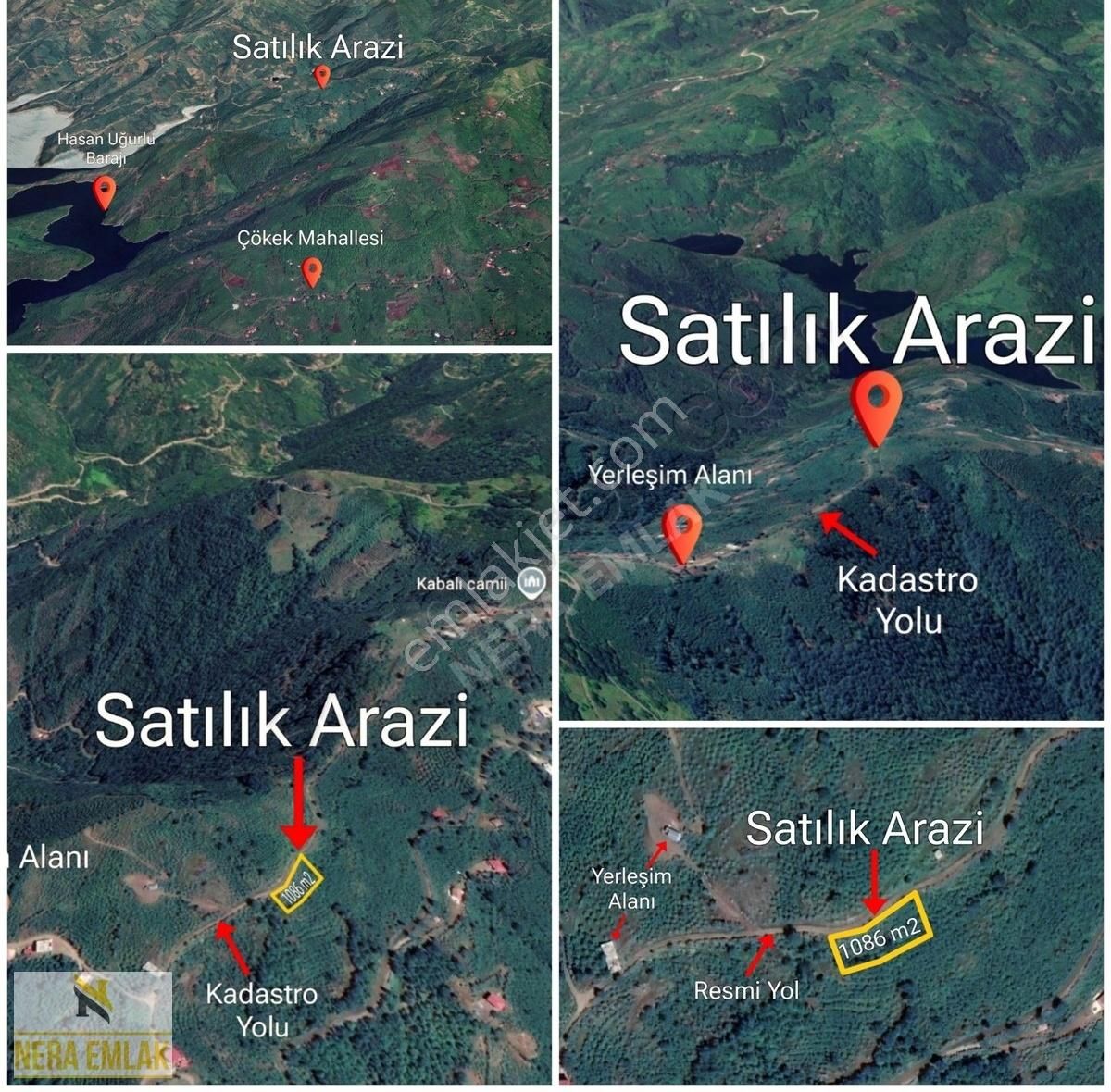 Akkuş Çökek Satılık Bağ & Bahçe Akkuş Çökek'de Uygun! Kadastro Yola Cepheli 1.086 M2 Fındıklık