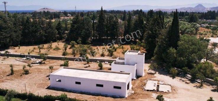 Bodrum Ortakent 3750 M2 Satılık Arsa Ve 2 Villa - Görsel 11