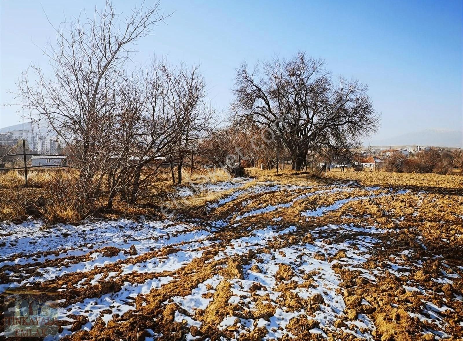 Elazığ Merkez Şahinkaya Köyü (Veran) Satılık Konut İmarlı Çayda Çira Mah Satılık Arsa