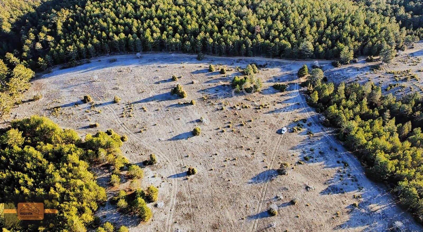 Hisarcık Şeyhçakır Köyü Satılık Tarla Kütahya Hisarcık'da 8500 M Resmi Yol Fırsat Müthiş Yatırım