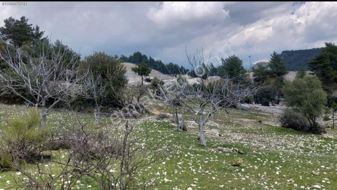 Kaş Çeşme Satılık Tarla Antalya Kaş Da Satılık Tarla