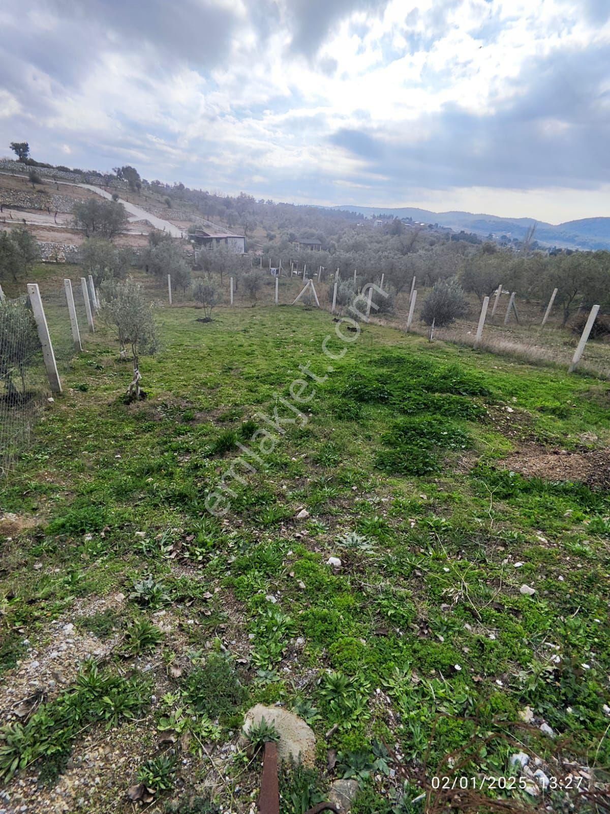 Buca Kırklar Satılık Tarla Buca Kırıklarda Otobüs Durağına 200 Metre Mesafede Bahçe Fırsatı