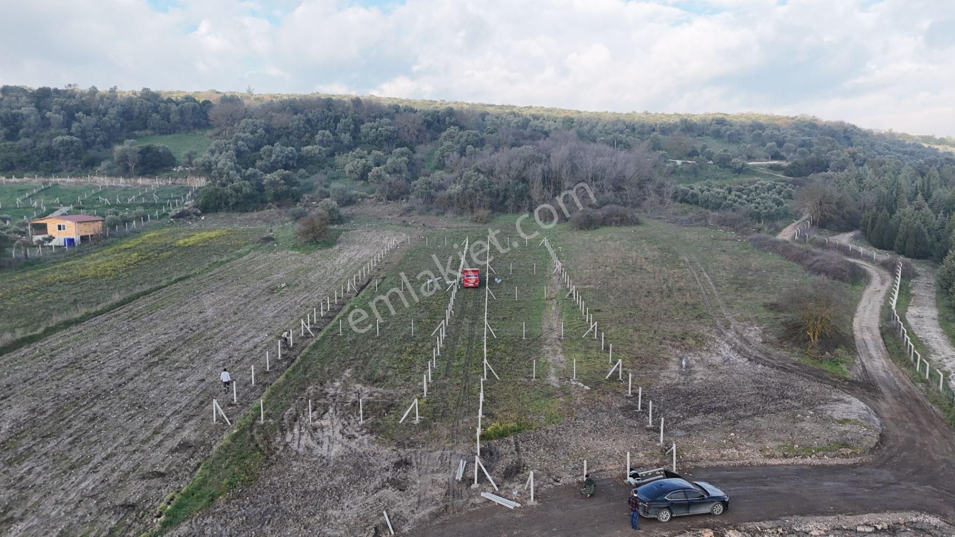 Menderes Değirmendere Satılık Tarla Varna Gayrimenkulden Satılık 205 M2 Tapulu Yatırımlık Bahçe