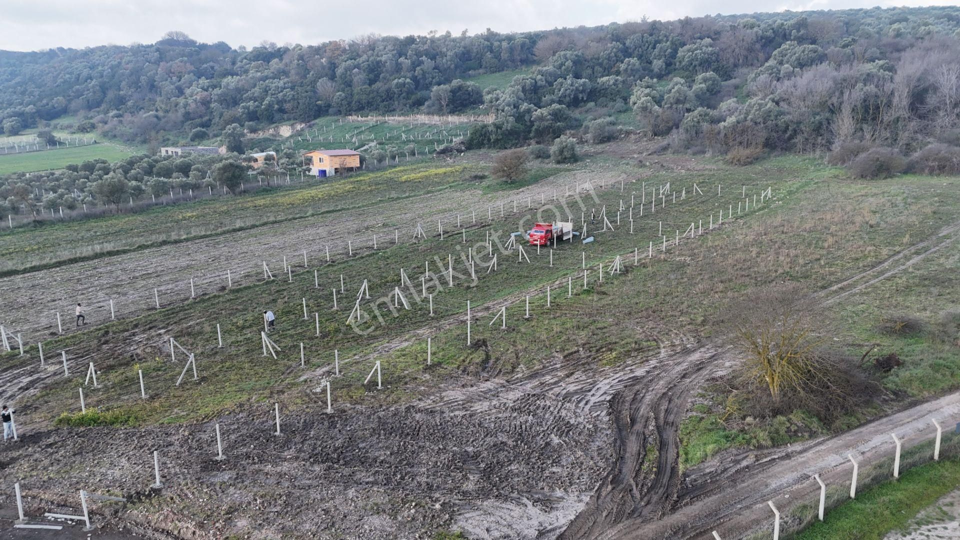 Varna Gayrimenkulden Satılık 205 M2 Tapulu Yatırımlık Bahçe - Görsel 4