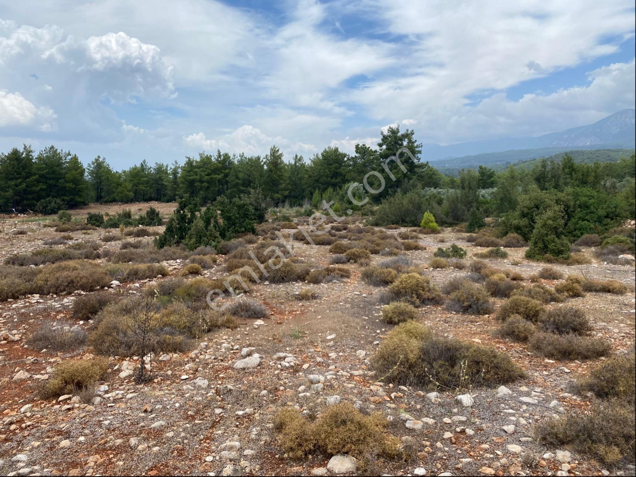 Seydikemer Kayadibi Satılık Tarla Sahibinden Satılık Müstakil Parsel