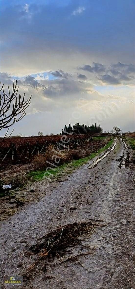 Saruhanlı Sarıçam Satılık Tarla Satilik Tarla