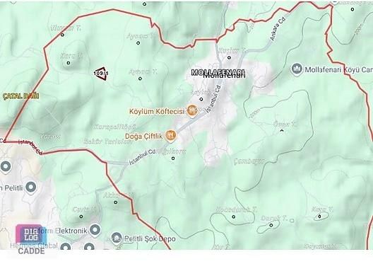 Gebze Mollafenari Satılık Tarla Gebze-mollafenari/akviranda Satılık Arsa Hissesi